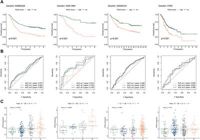 Unraveling the prognostic significance of RGS gene family in gastric cancer and the potential implication of RGS4 in regulating tumor-infiltrating fibroblast